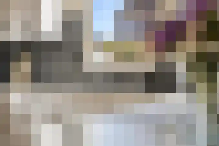 Anjerstraat 1 Nieuw-Buinen thumbnail 17