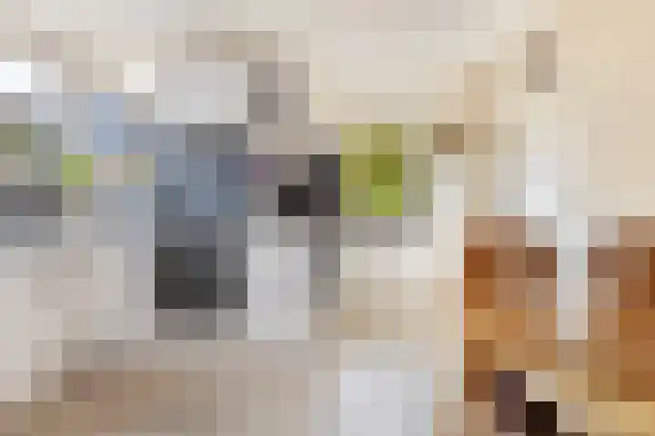 Anjerstraat 1 Nieuw-Buinen thumbnail 18