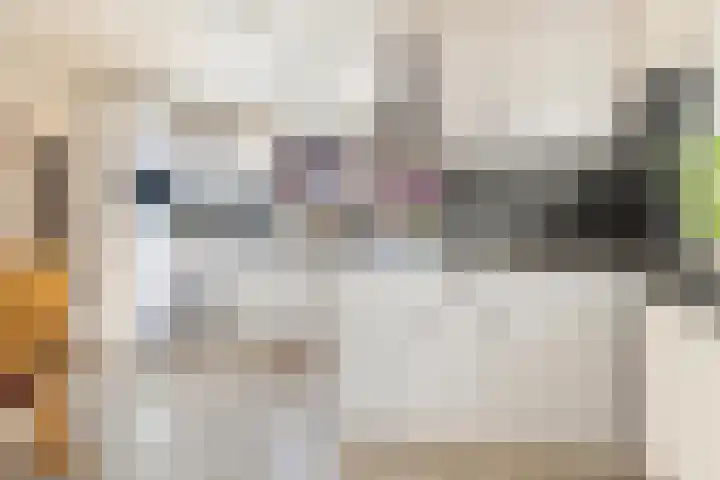 Anjerstraat 1 Nieuw-Buinen thumbnail 20