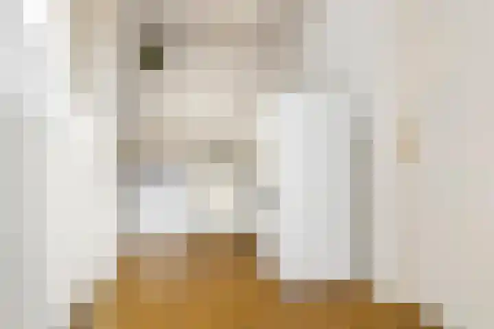 Anjerstraat 1 Nieuw-Buinen thumbnail 21