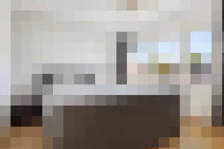 Anjerstraat 1 Nieuw-Buinen thumbnail 23