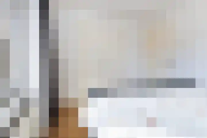 Anjerstraat 1 Nieuw-Buinen thumbnail 24