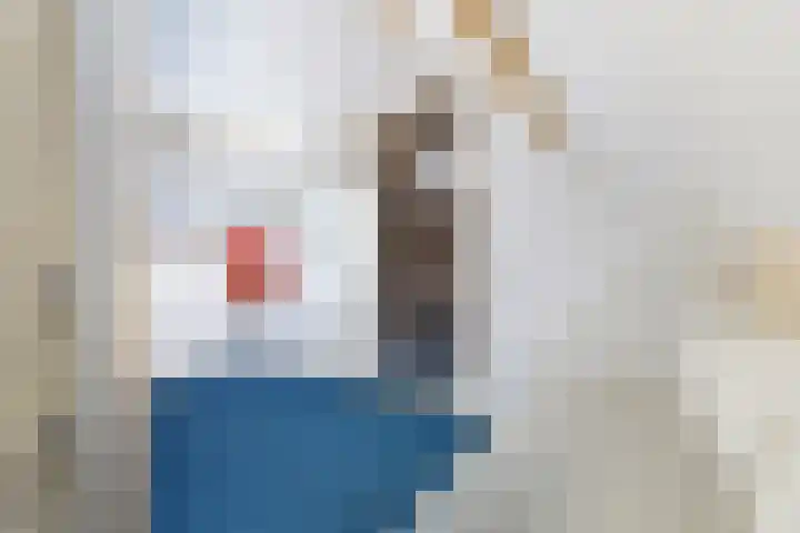 Anjerstraat 1 Nieuw-Buinen thumbnail 34