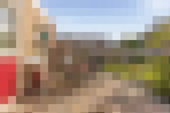 Anjerstraat 1 Nieuw-Buinen thumbnail 36