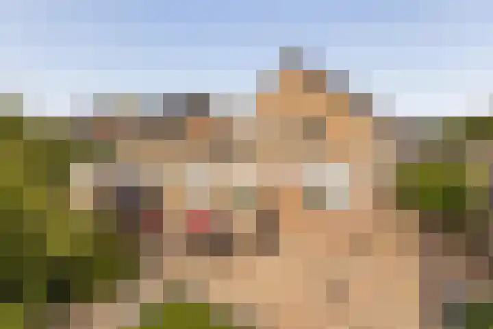 Anjerstraat 1 Nieuw-Buinen thumbnail 37