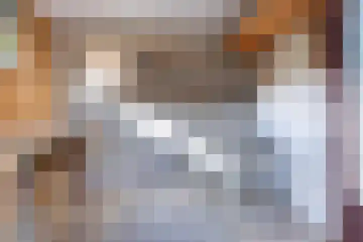 Anjerstraat 1 Nieuw-Buinen thumbnail 38