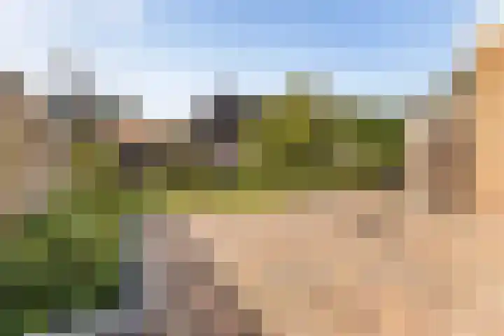 Anjerstraat 1 Nieuw-Buinen thumbnail 40