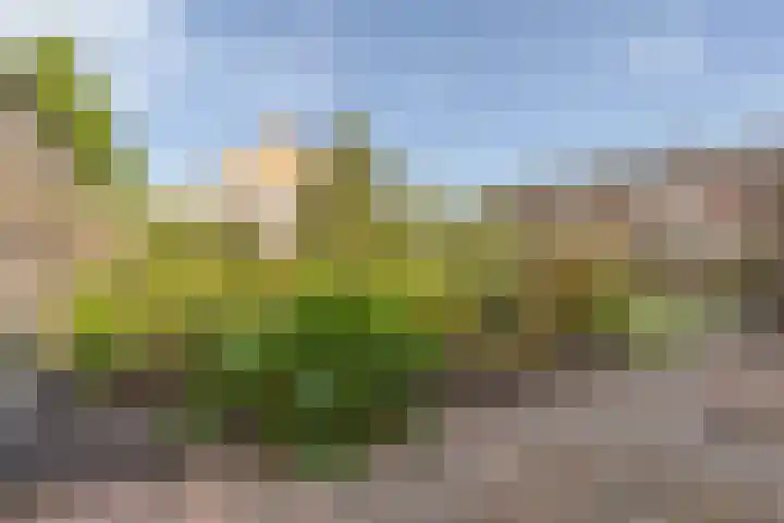 Anjerstraat 1 Nieuw-Buinen thumbnail 41