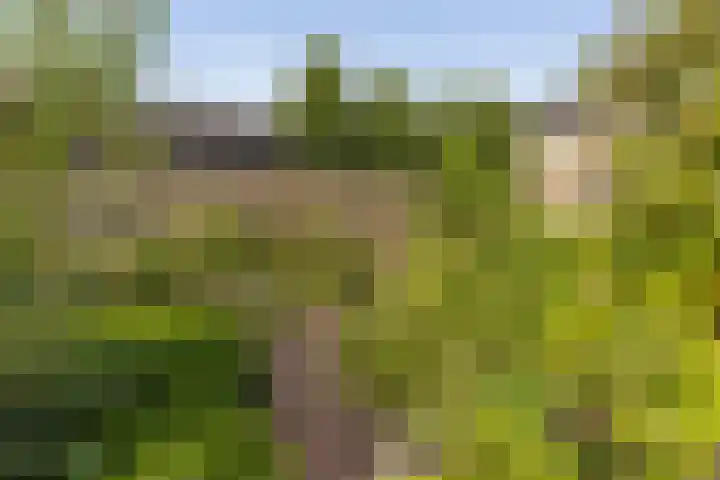 Anjerstraat 1 Nieuw-Buinen thumbnail 42
