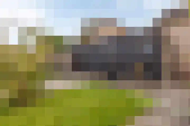 Anjerstraat 1 Nieuw-Buinen thumbnail 43