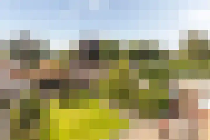 Anjerstraat 1 Nieuw-Buinen thumbnail 44