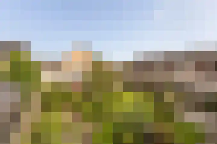 Anjerstraat 1 Nieuw-Buinen thumbnail 45