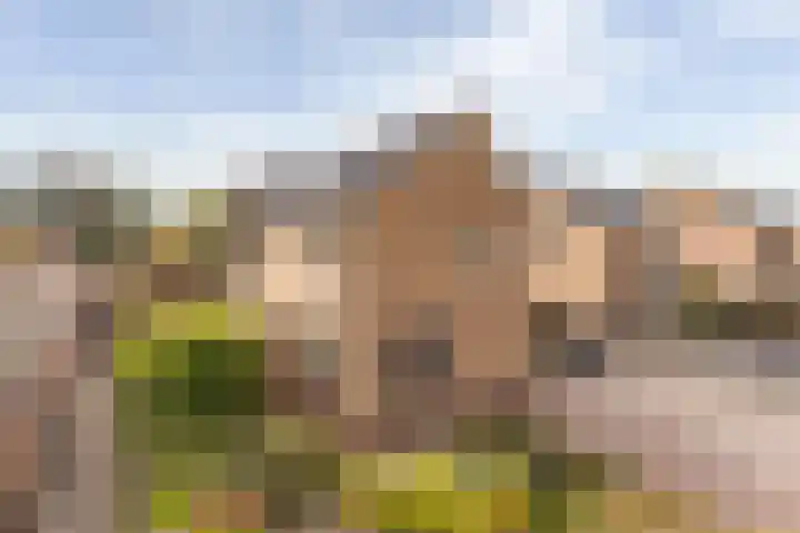 Anjerstraat 1 Nieuw-Buinen thumbnail 46