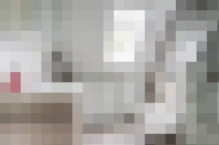 Anjerstraat 1 Putte thumbnail 22
