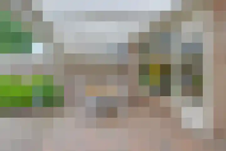 Anjerstraat 1 Putte thumbnail 30
