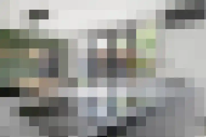 Anjerstraat 1 Putte thumbnail 35