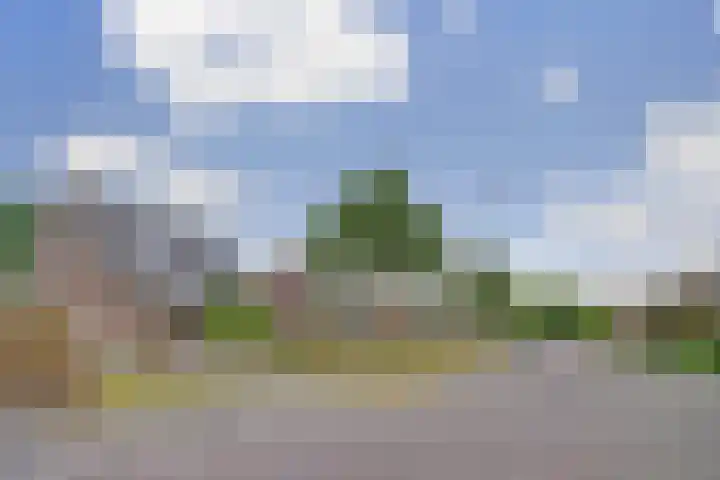 Anjerstraat 1 Putte thumbnail 35