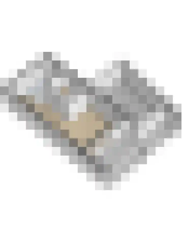 Anjerstraat 1 Putte thumbnail 39