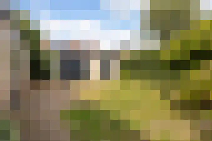 Anjerstraat 1 Veenendaal thumbnail 20