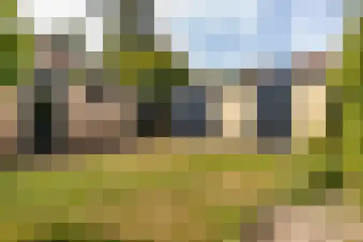 Anjerstraat 1 Veenendaal thumbnail 21