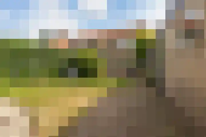Anjerstraat 1 Veenendaal thumbnail 22