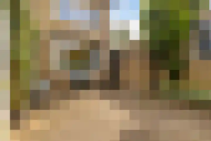 Anjerstraat 1 Veenendaal thumbnail 23
