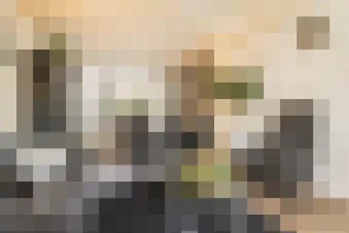 Anjerstraat 1 Veenendaal thumbnail 4