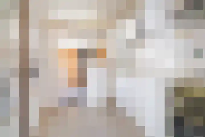 Anjerstraat 11 Bosschenhoofd thumbnail 11