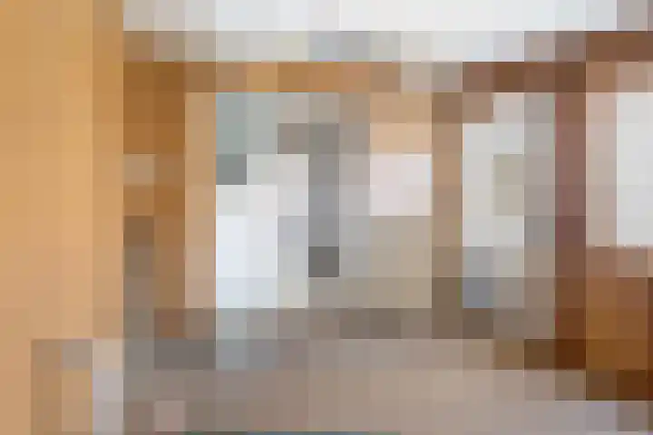 Anjerstraat 11 Bosschenhoofd thumbnail 14