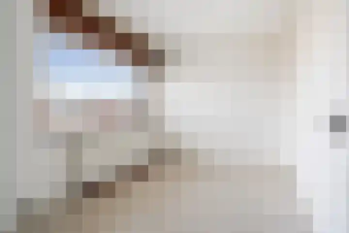 Anjerstraat 11 Bosschenhoofd thumbnail 17