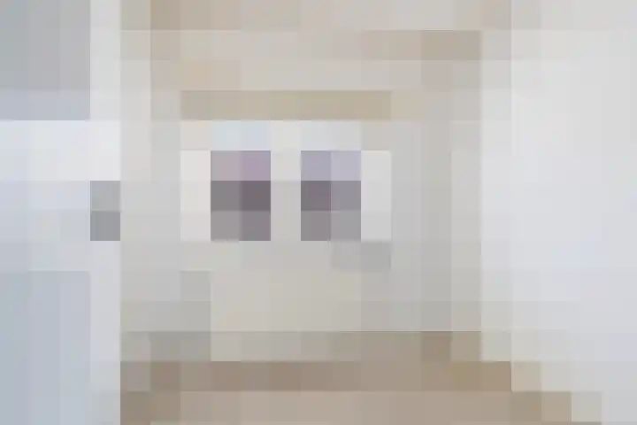 Anjerstraat 11 Bosschenhoofd thumbnail 20
