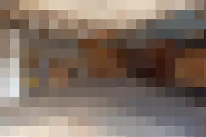 Anjerstraat 11 Bosschenhoofd thumbnail 29