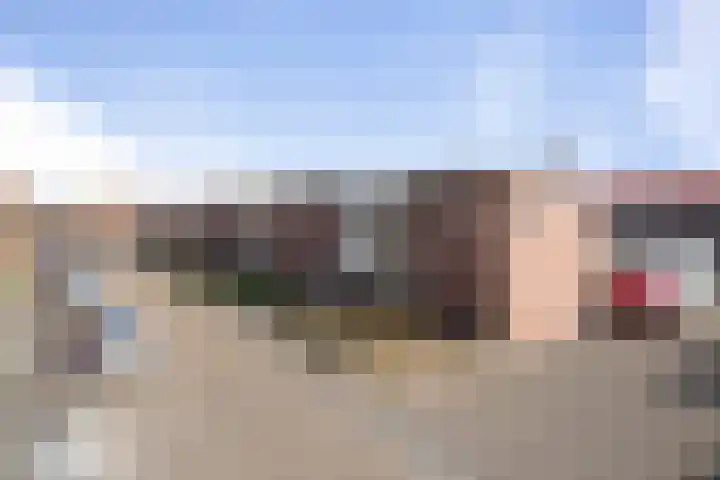 Anjerstraat 11 Bosschenhoofd thumbnail 31