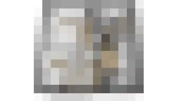Anjerstraat 11 Bosschenhoofd thumbnail 34