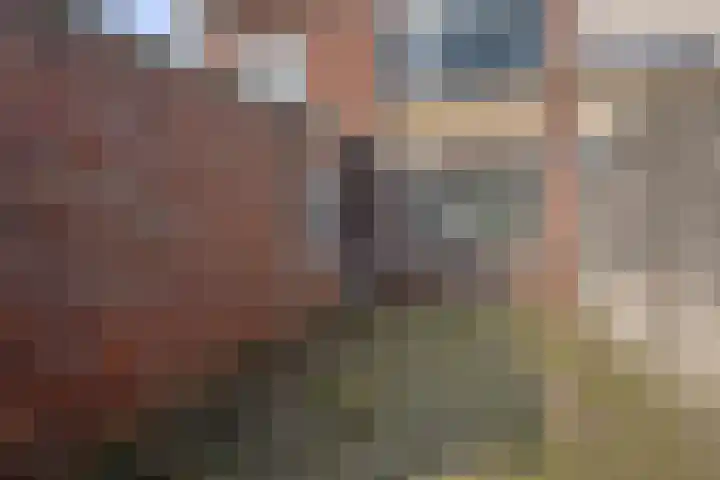 Anjerstraat 11 Bosschenhoofd thumbnail 6