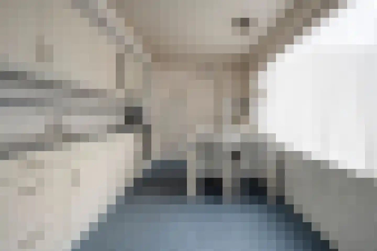 Anjerstraat 11 Raalte thumbnail 17