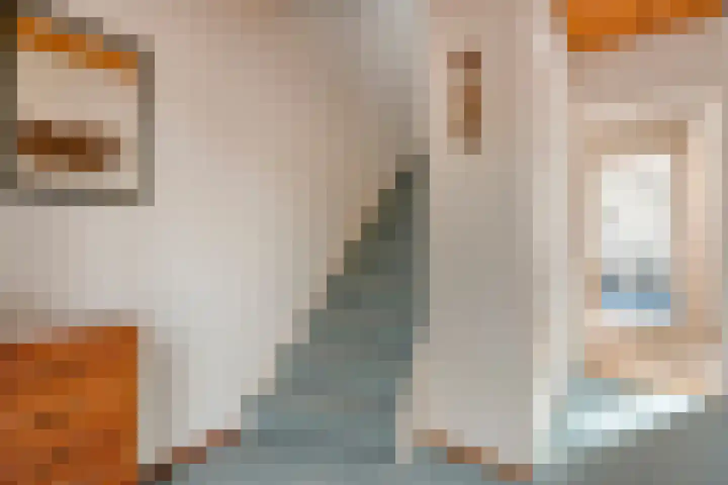 Anjerstraat 11 Raalte thumbnail 21