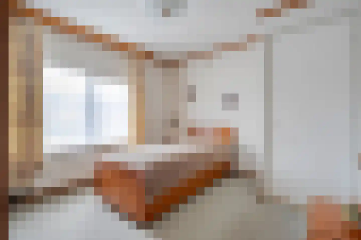 Anjerstraat 11 Raalte thumbnail 26