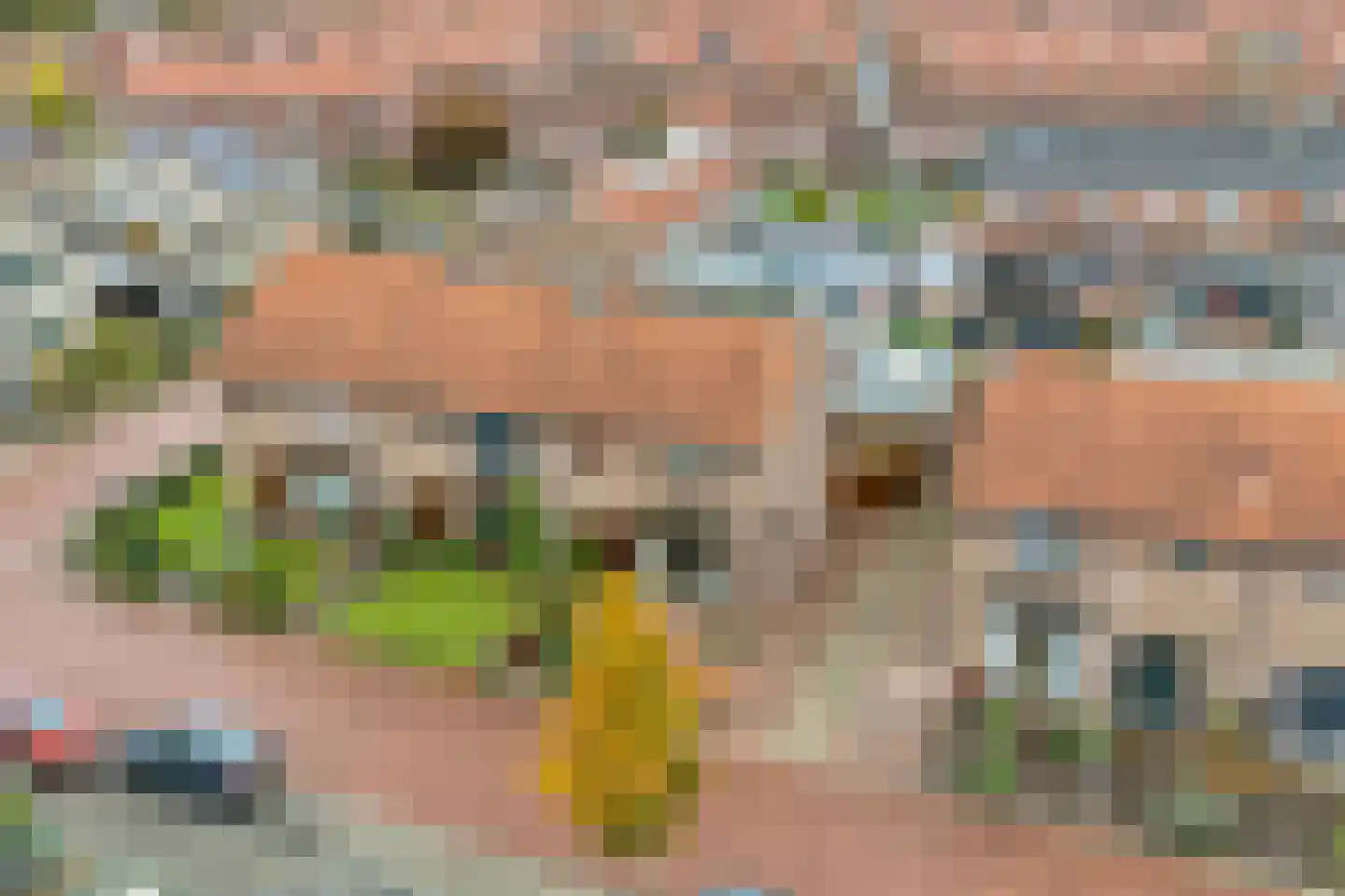 Anjerstraat 11 Raalte thumbnail 41