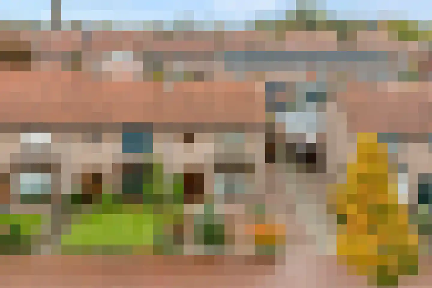 Anjerstraat 11 Raalte thumbnail 42