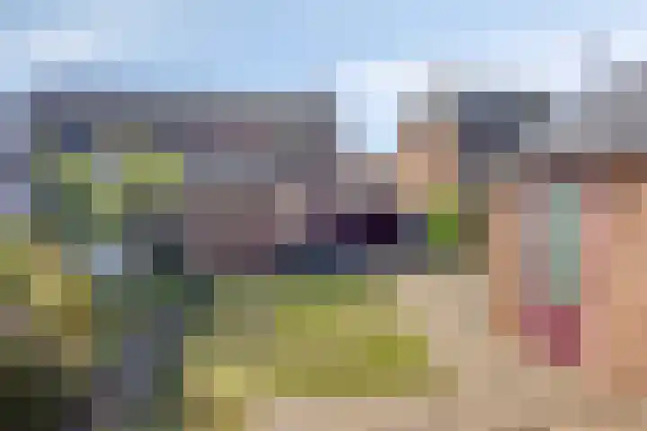 Anjerstraat 12 Raalte thumbnail 25