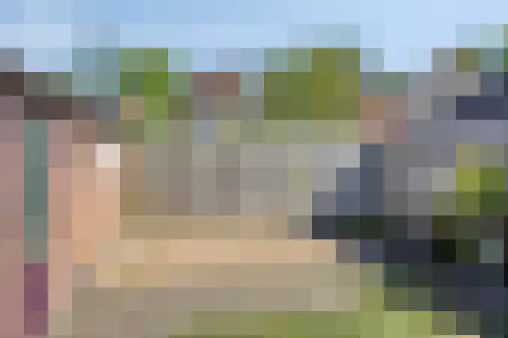 Anjerstraat 12 Raalte thumbnail 26