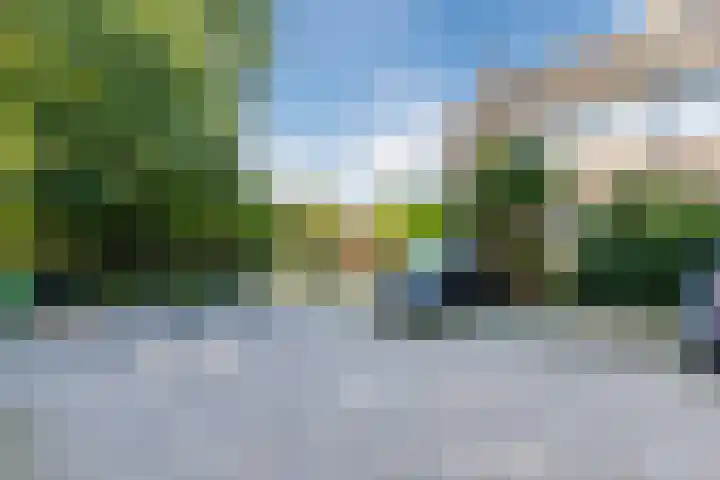 Anjerstraat 12 Waarland thumbnail 5