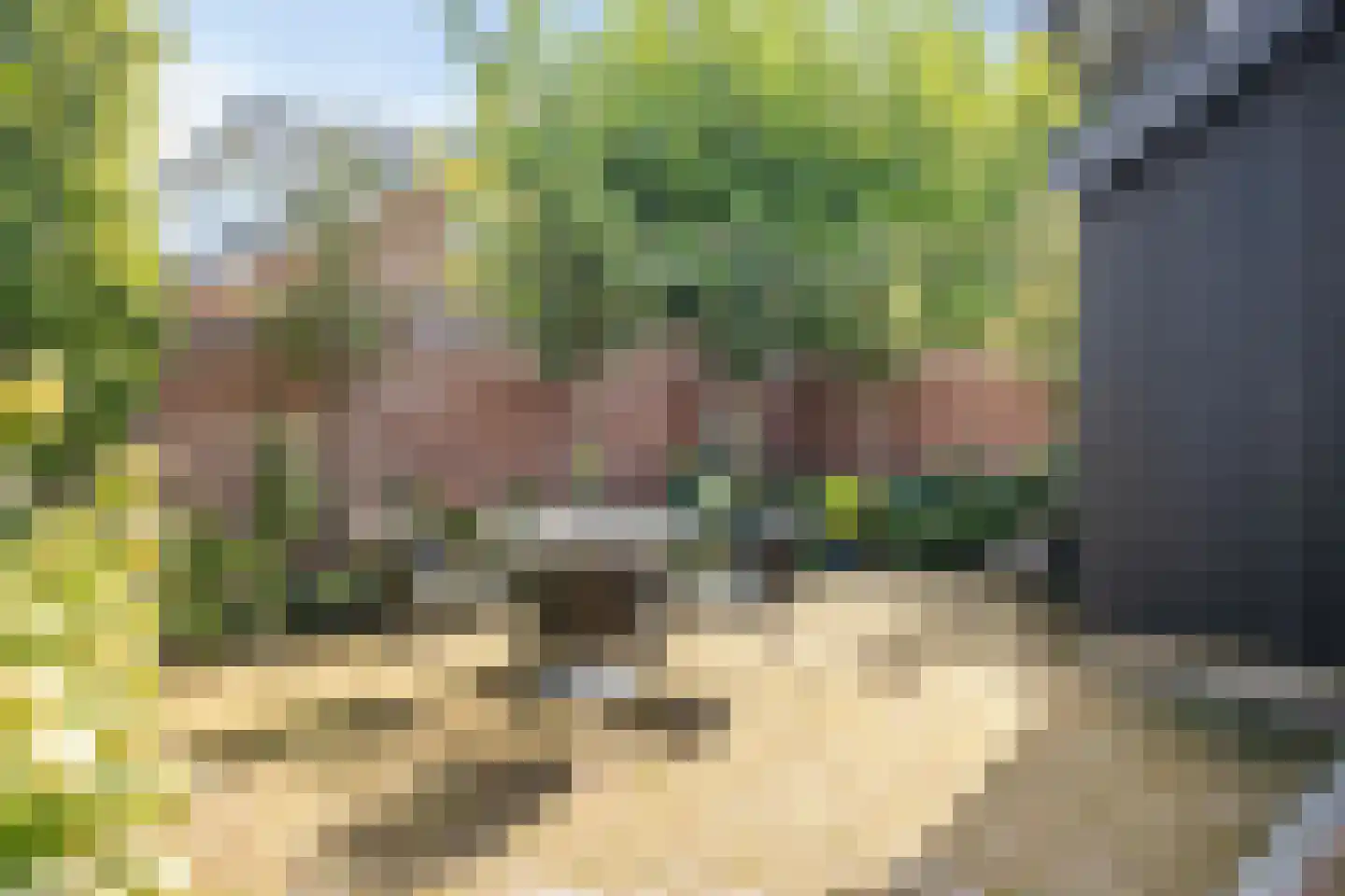 Anjerstraat 13 Goor thumbnail 39