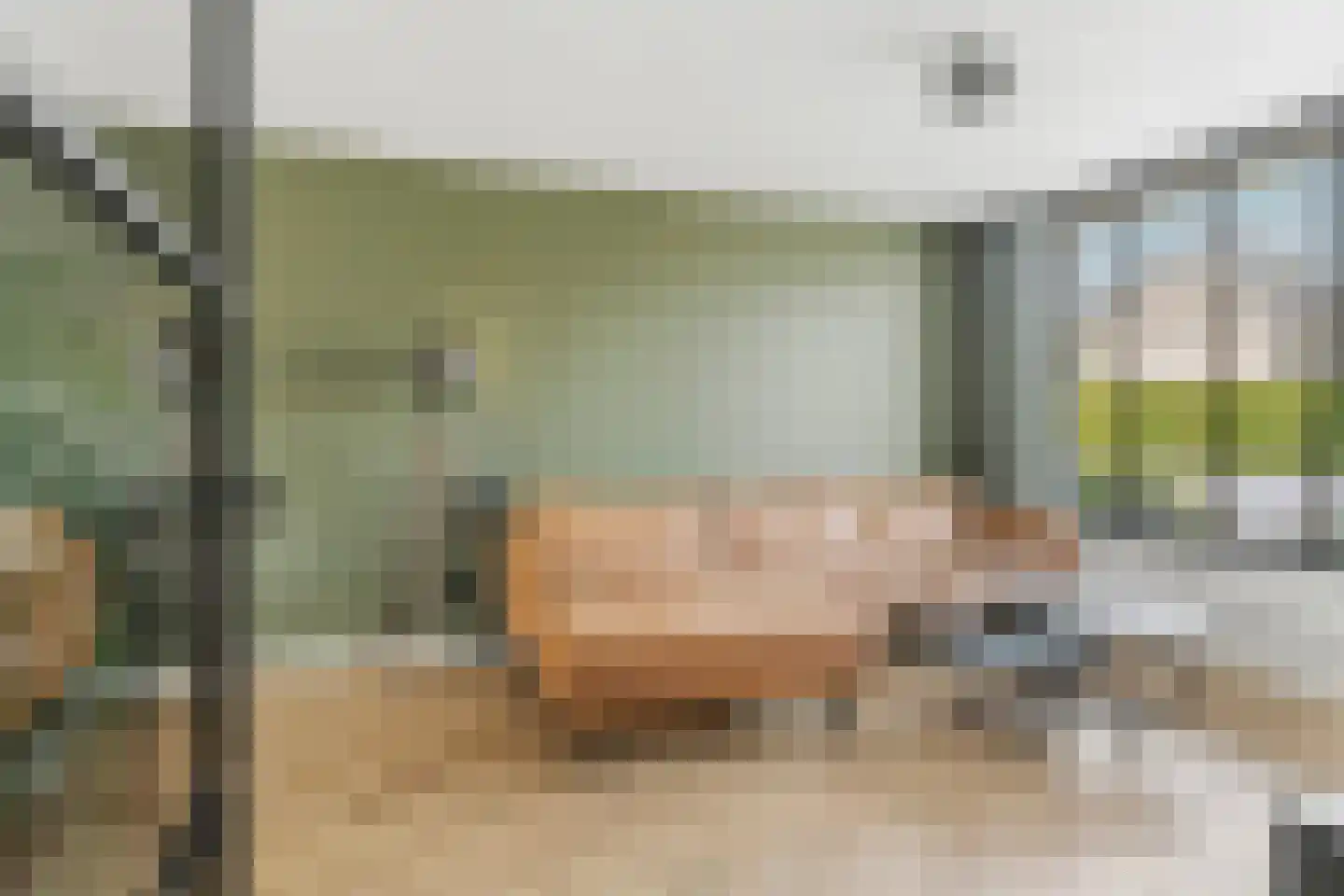 Anjerstraat 14 B Zevenaar thumbnail 7