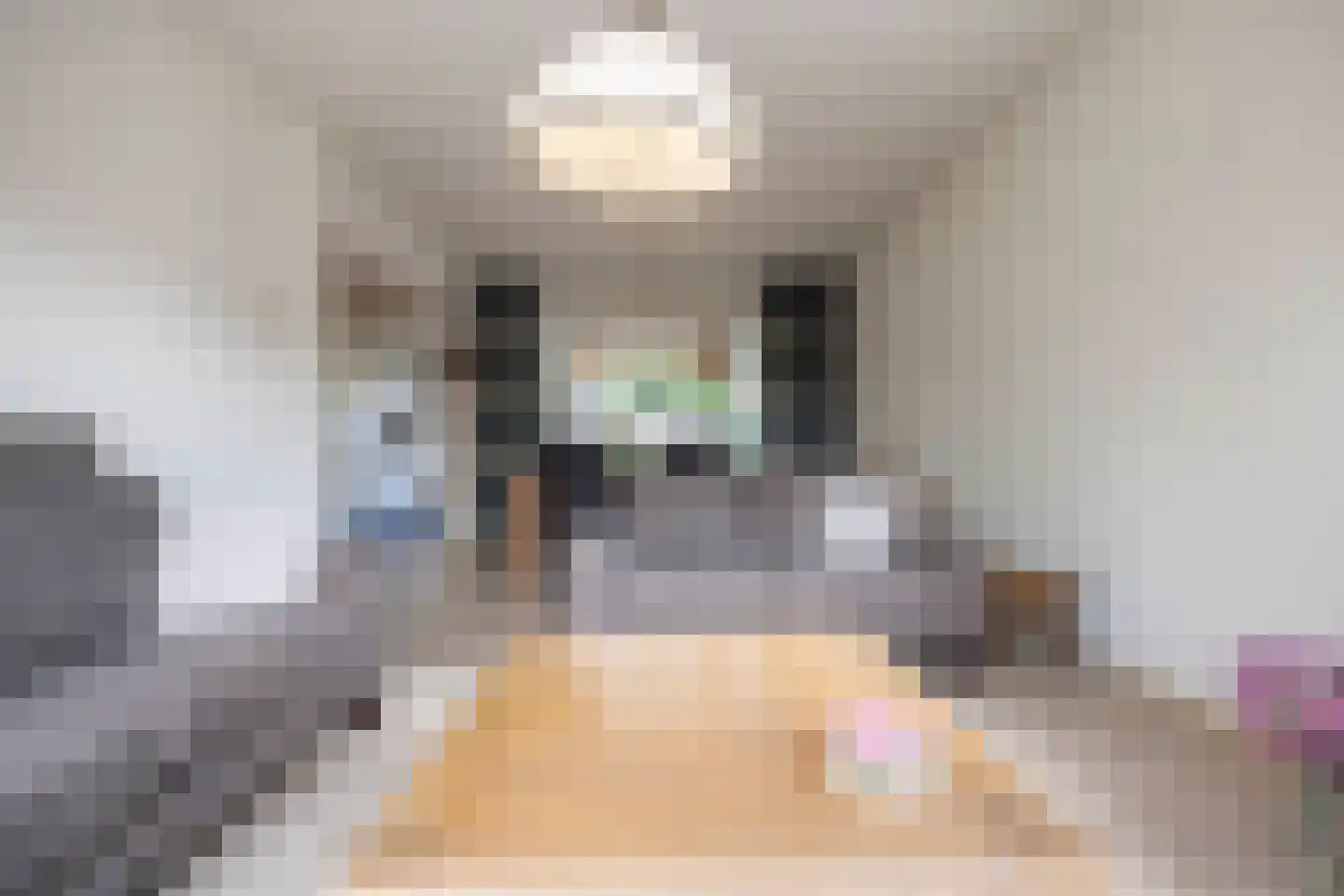 Anjerstraat 14 Drunen thumbnail 11