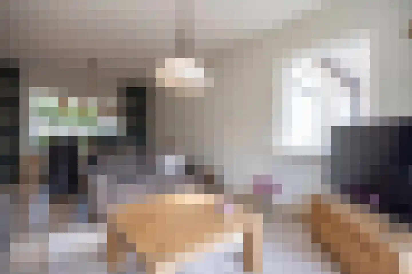 Anjerstraat 14 Drunen thumbnail 13