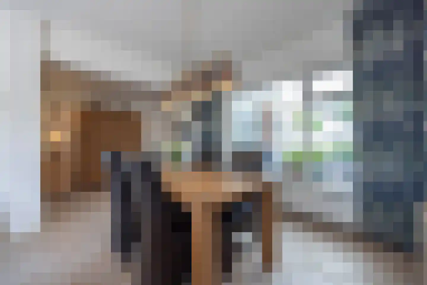Anjerstraat 14 Drunen thumbnail 16