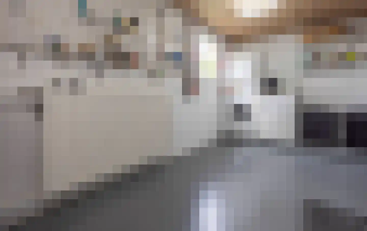 Anjerstraat 14 Drunen thumbnail 22