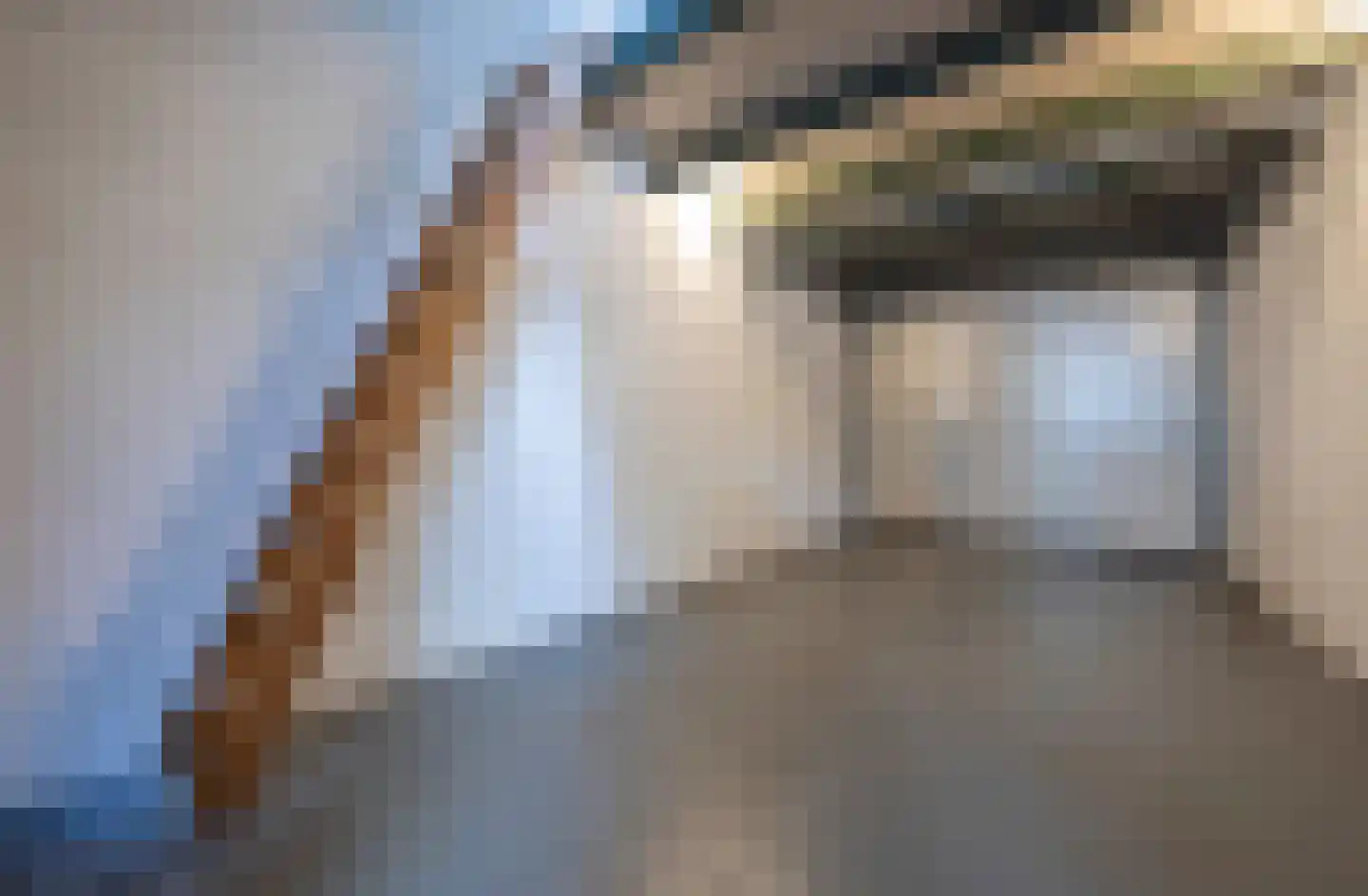 Anjerstraat 14 Drunen thumbnail 23